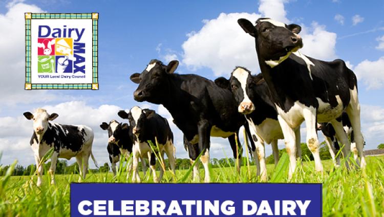 Celebrating Dairy 