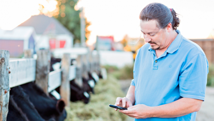 Digital Dairy: Engaging Consumers Online and How Farmers Can Share Their Story