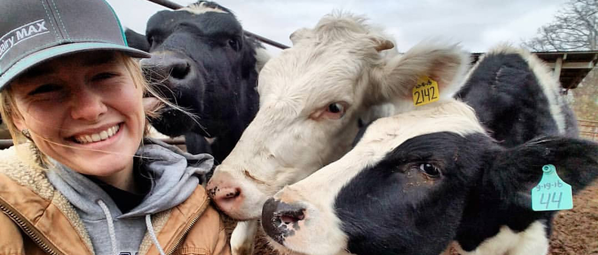 dairy farmer and cows