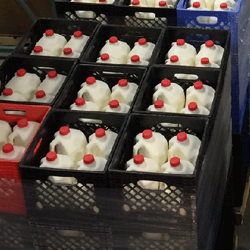 donated milk gallons