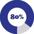 Circular graph showing 80%