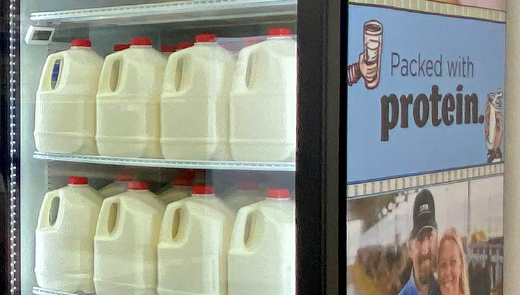 Milk cooler