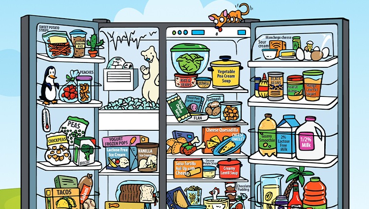 Refrigerator illustration