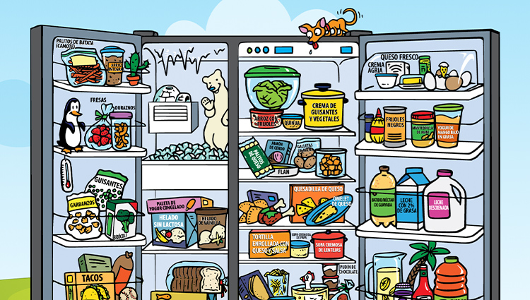 Refrigerator illustration