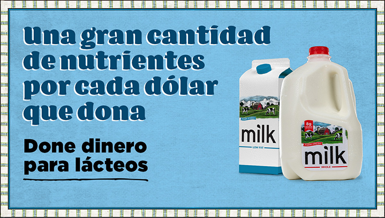 Leche social graphic