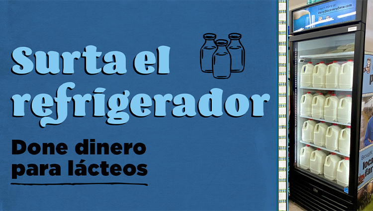 Surta el regrigerador social graphic