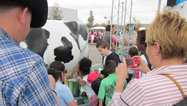 group milking a fiberglass cow