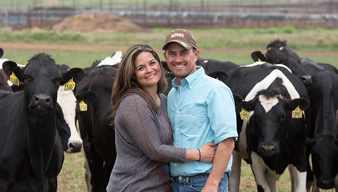 dairy farmers with holstein cows