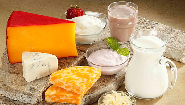 cheese, milk and other dairy products