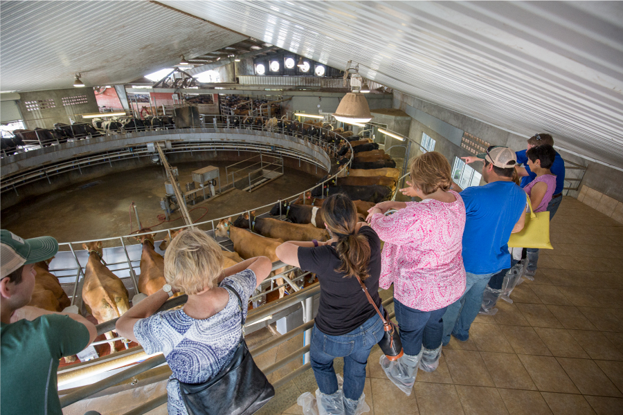 group looking over a carousel milker