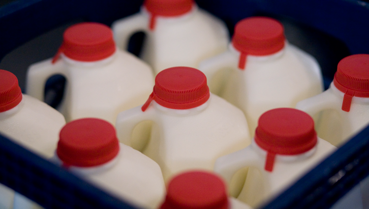 gallons of milk in a crate with red lids