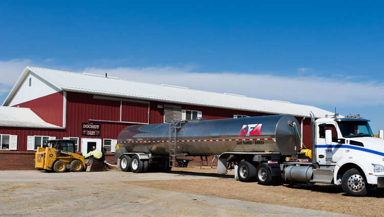 milk tanker truck at a dairy farm