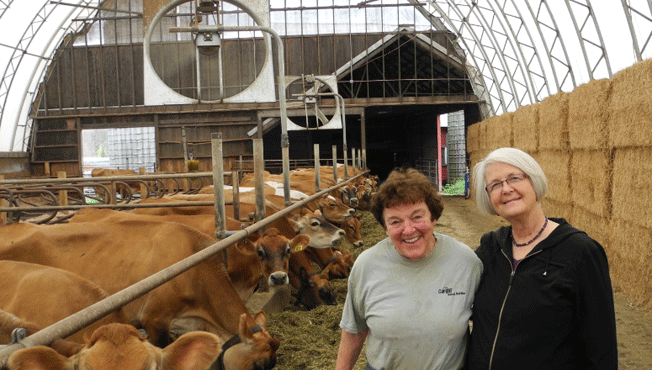 Dayle Hayes on a dairy farm