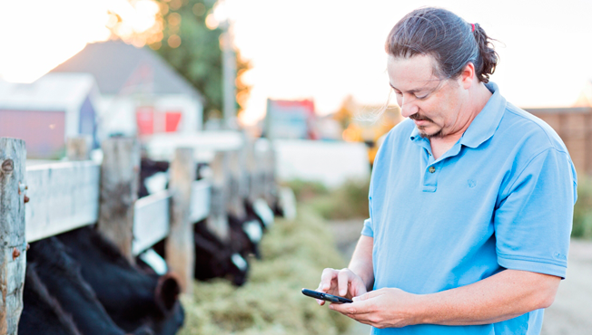 Digital Dairy: Engaging Consumers Online and How Farmers Can Share Their Story