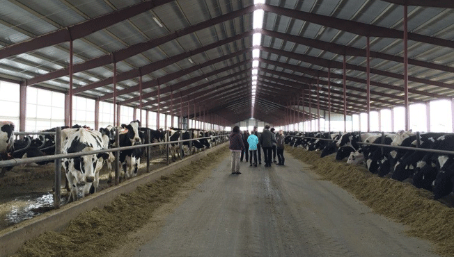 Visit to Lost Creek Dairy