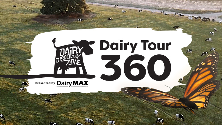 Dairy Tour Virtual Reality 360 Cows Milk 