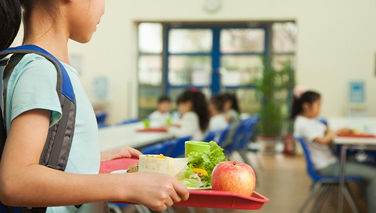 school lunch tray