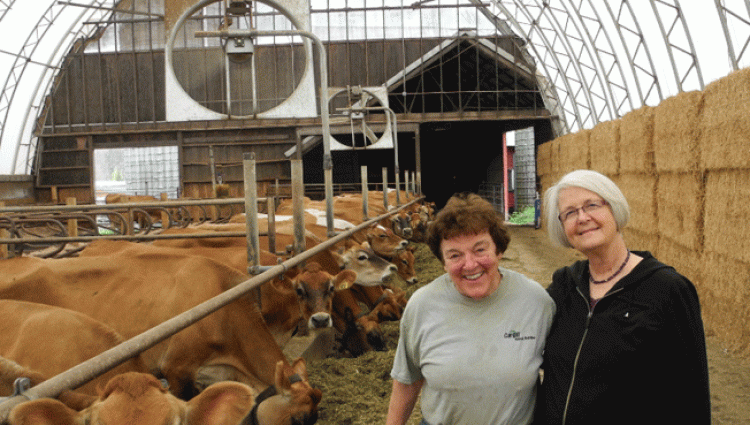 Dayle Hayes on a dairy farm
