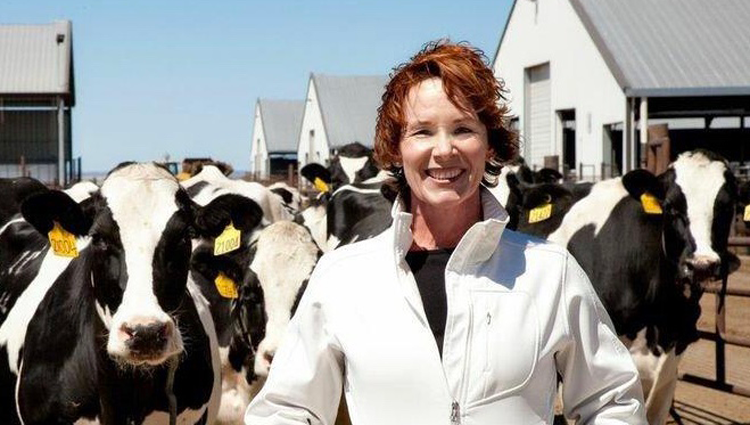Mary Kraft stands with her Holstein cows on a sunny day