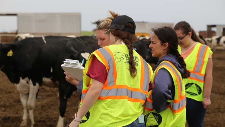 group of young people with clipboards in a field with Holstein cows