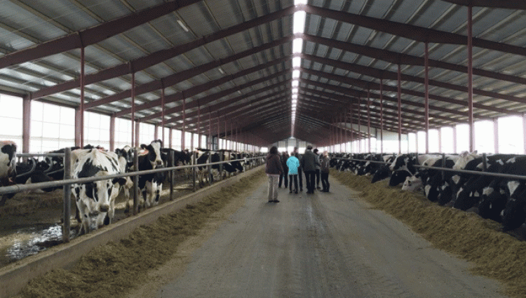 Visit to Lost Creek Dairy