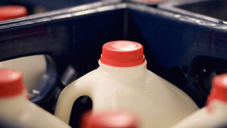 gallon of milk