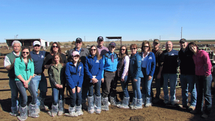 Dr. Temple Grandin visits a dairy farm